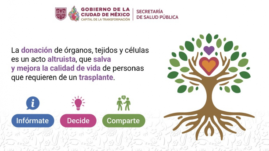 Donación de órganos y tejidos con fines de Trasplante